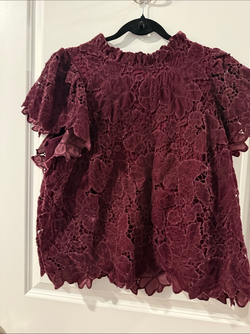 Anthropologie Velvet Burgundy Lace Ruffled Short Sleeve Blouse